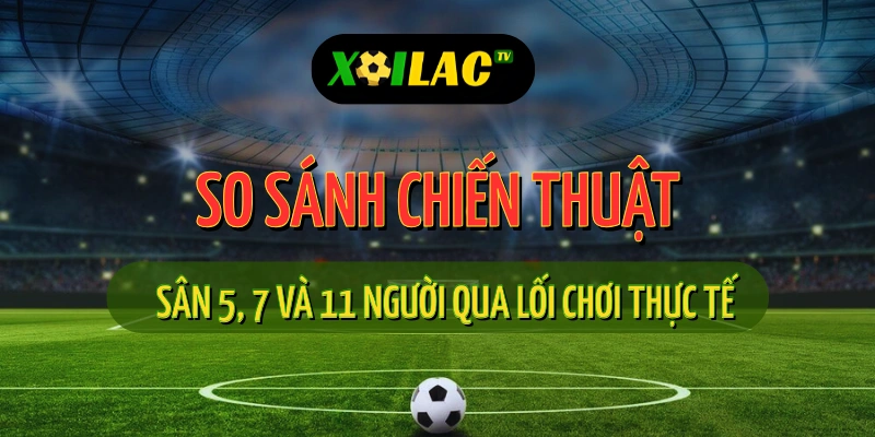 So sánh Chiến Thuật Sân 5, 7 và 11 Người Qua Lối Chơi Thực Tế 1 So sánh chiến thuật sân 5, 7 và 11 người khi xem trực tiếp bóng đá